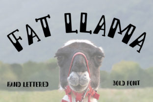 Discover the Power of Fat Llama for Bold Digital Branding