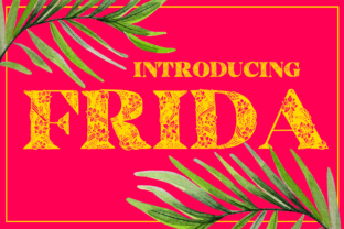 Frida for Creative Campaigns and Brand Identity