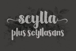 Scylla: The Bold Script Font for Dynamic Digital Campaigns