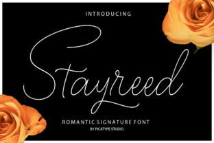 Stayreed: A Script Handwritten Font for Creative Crafters and Product Designers