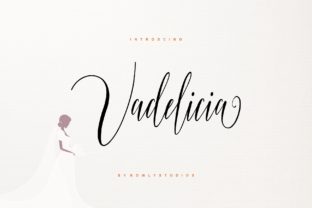 Vadelicia Script: The Font That Elevates Your Campaigns